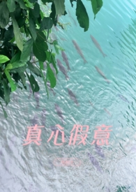 真心假意歌曲